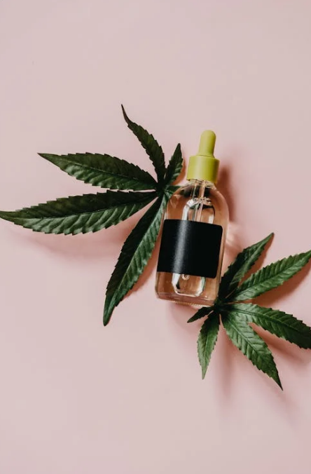 CBD and Nausea: Natural Relief