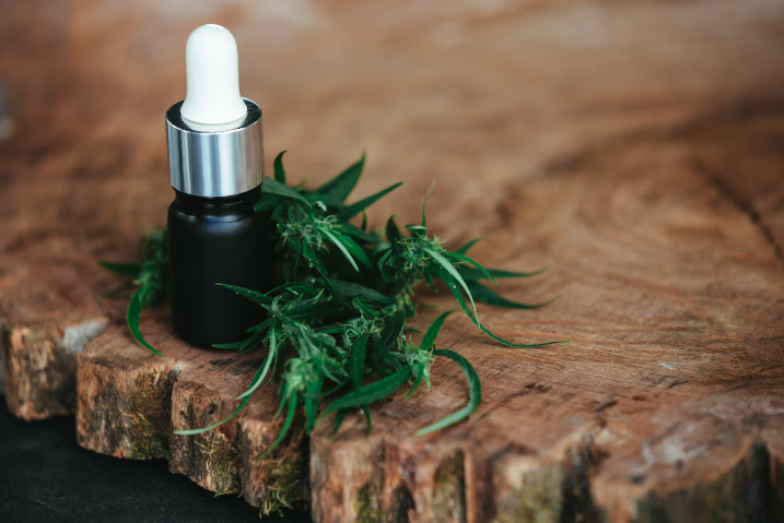 CBD and Your Pet’s Health: What You Should Know