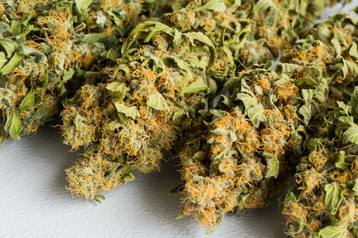 CBD and the Immune System: Strengthening Your Defense