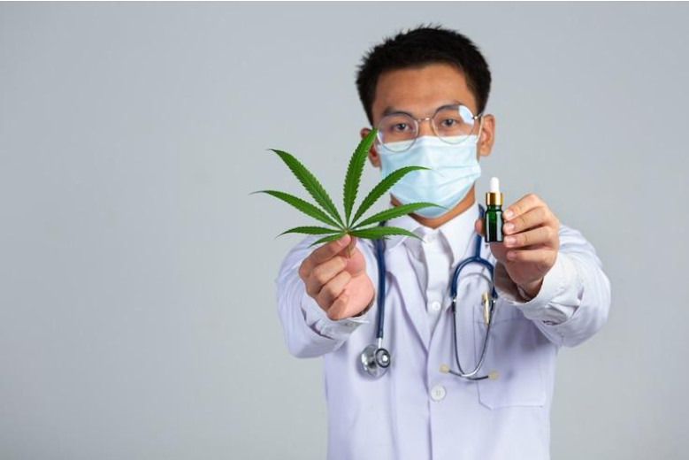 The Role of a Medical Marijuana Doctor in Your Wellness Journey